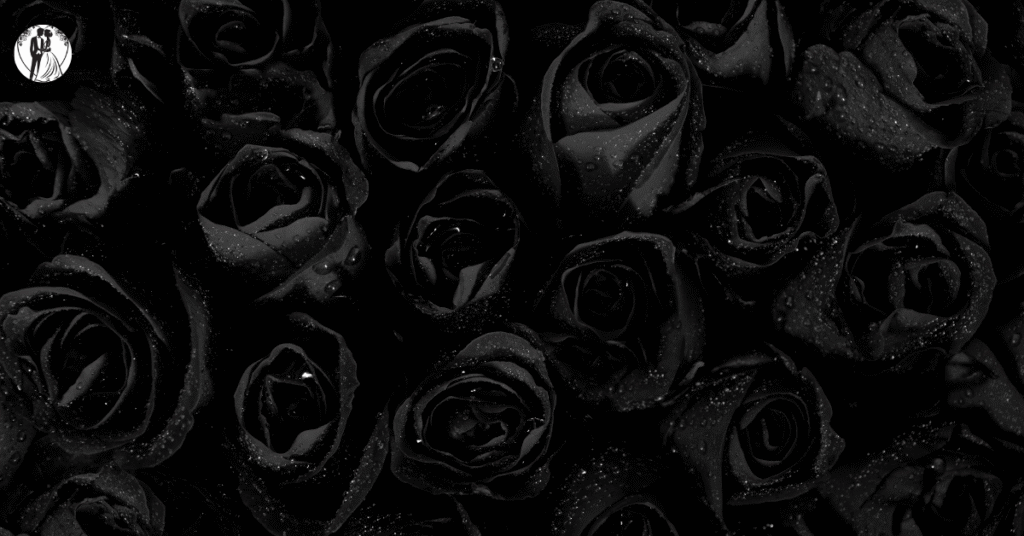 Untitled design 2025 10 13T222618.535