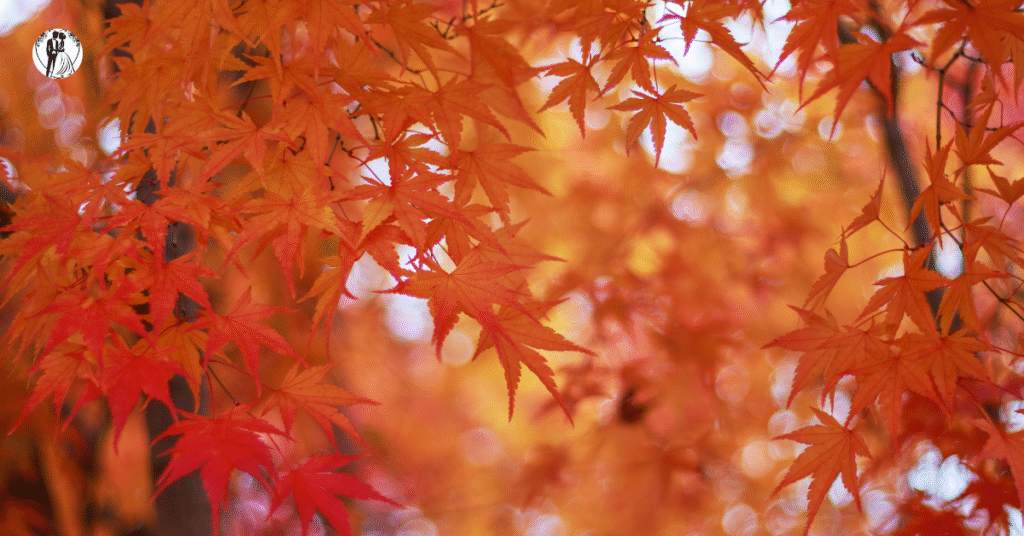 Untitled design 2025 10 22T212218.051