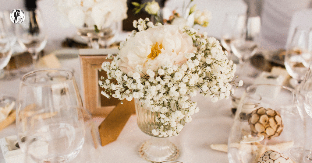 Untitled design 2025 10 23T132404.603