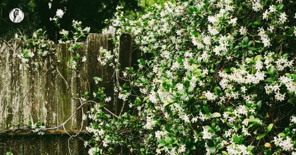 Untitled design 2025 10 23T132514.175