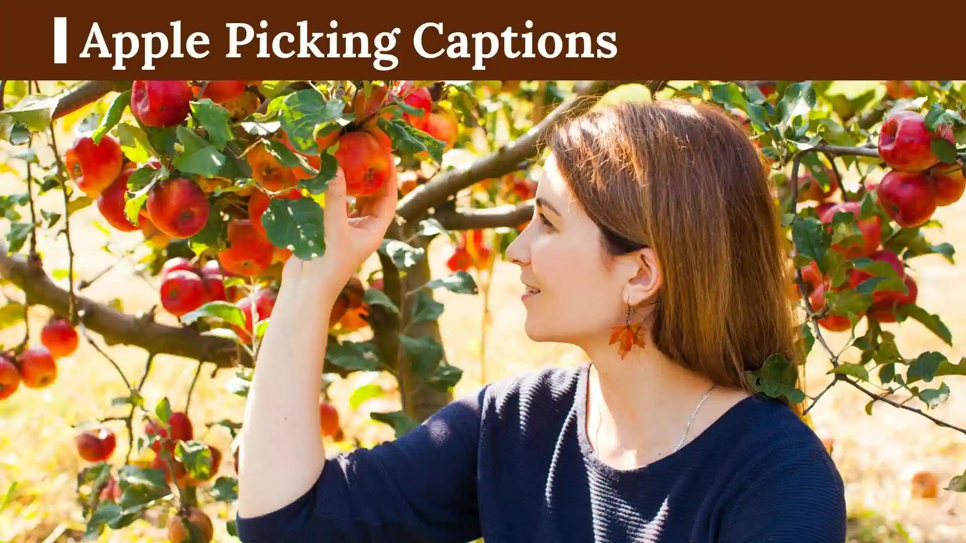 Apple Picking Captions