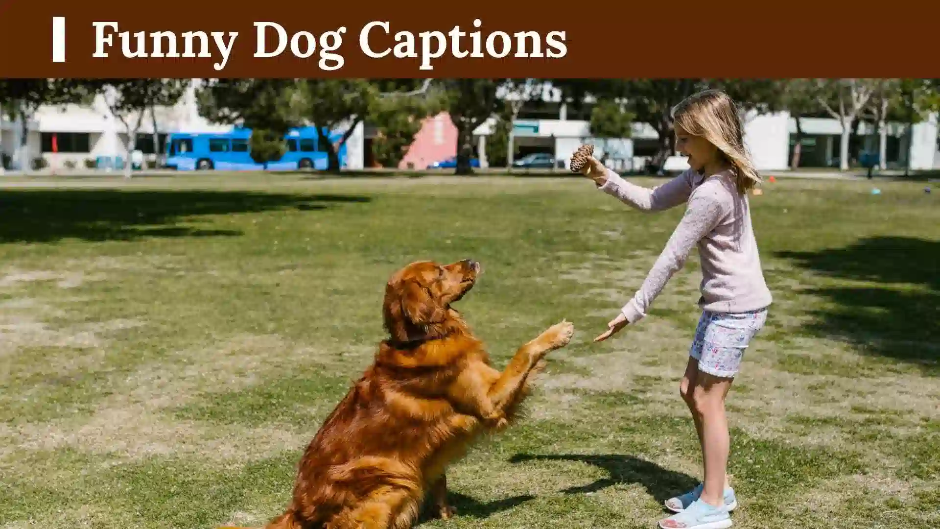 Funny Dog Captions