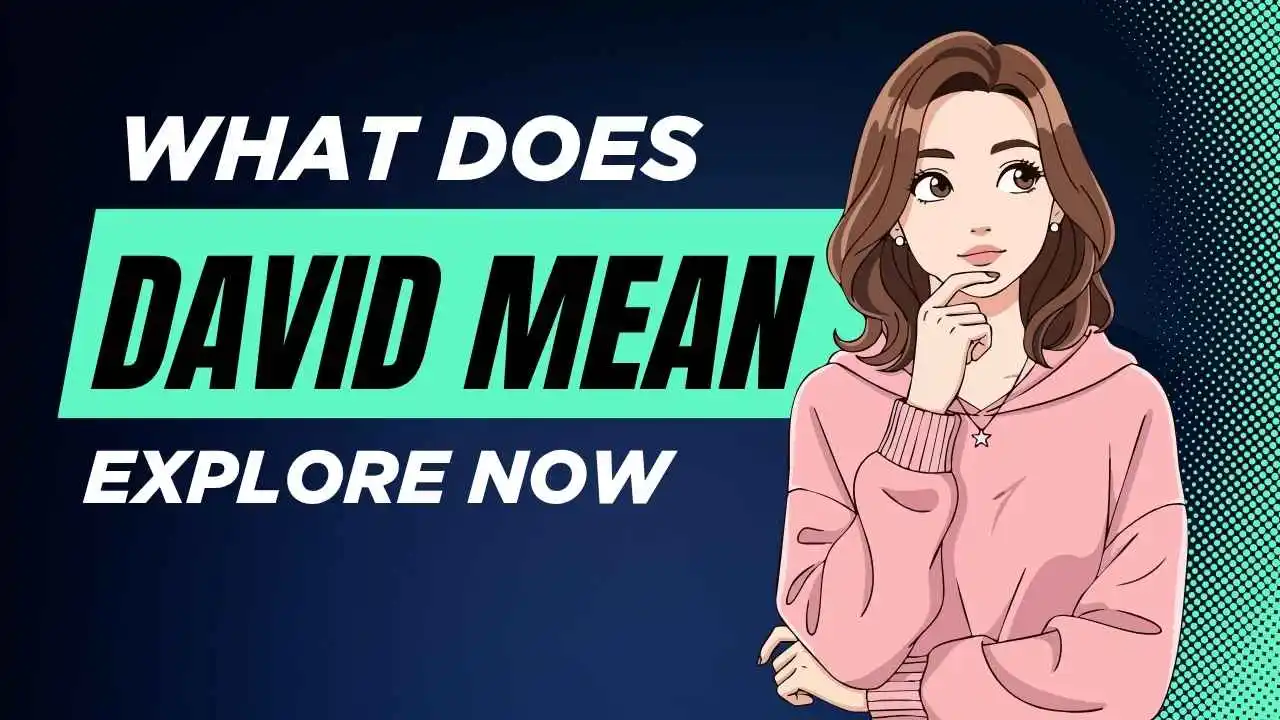 What Does David Mean